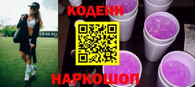 индика Усть-Джегута