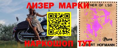 индика Усть-Джегута