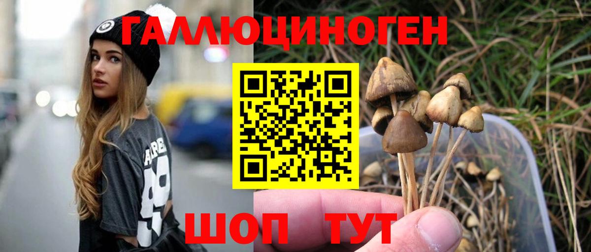 Галлюциногенные грибы Psilocybine cubensis Нерюнгри